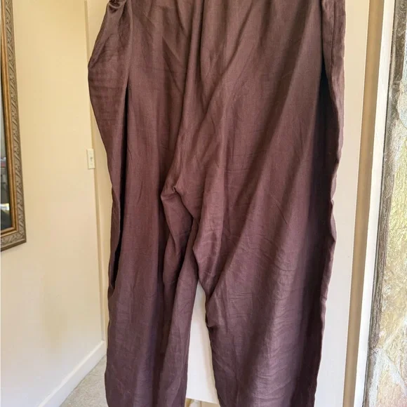 Eileen Fisher Organic Linen Pants - Chocolate Brown - Picture 4 of 4
